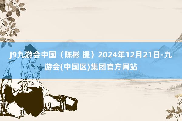 J9九游会中国（陈彬 摄）2024年12月21日-九游会(中国区)集团官方网站